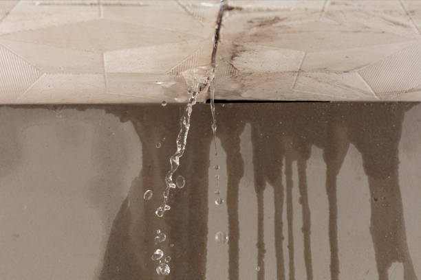 Professional Flood Damage Cleanup technician working in Plainfield, IN